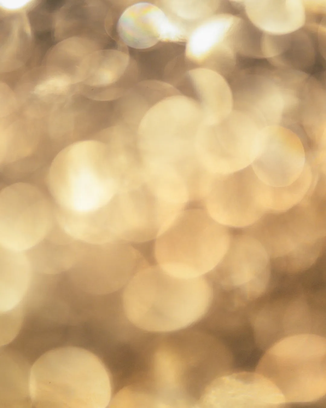 Eventplanung Freising, Erding,Landshut und Umgebung